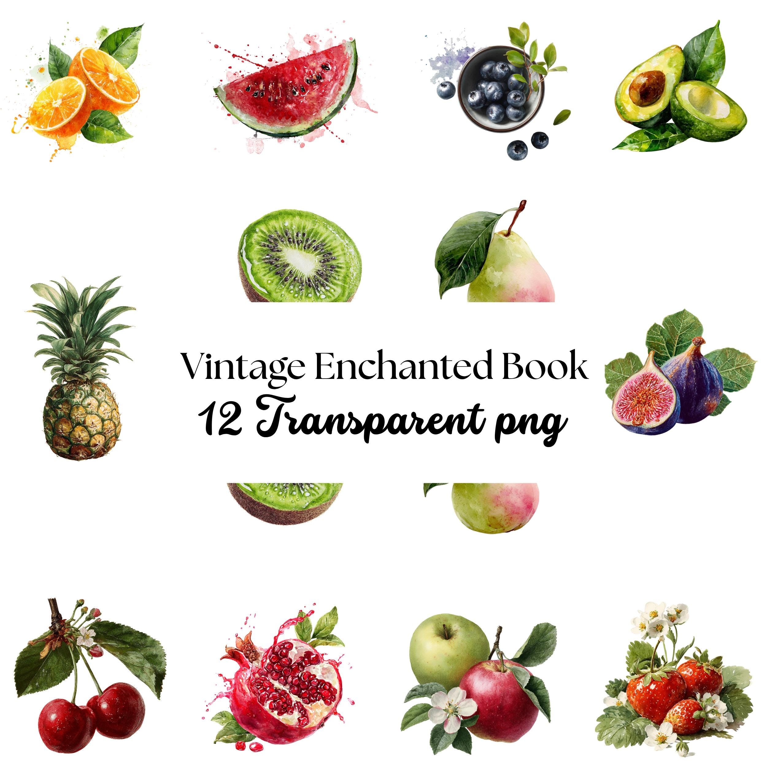 Fruit Watercolor Clipart Bundle: Food Stickers, Mug & Shirt Design