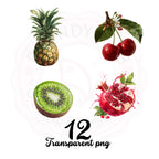 Fruit Watercolor Clipart Bundle: Food Stickers, Mug & Shirt Design