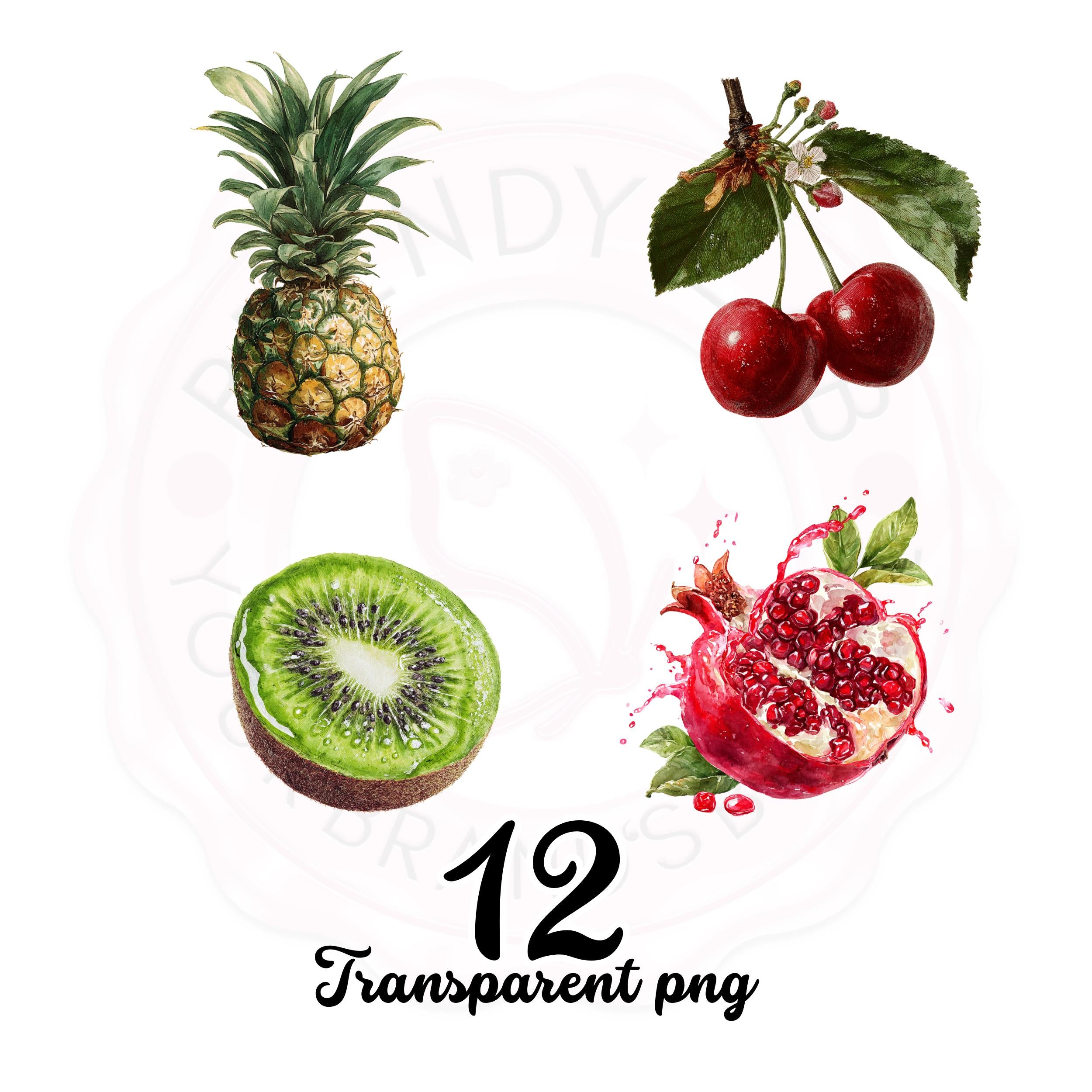 Fruit Watercolor Clipart Bundle: Food Stickers, Mug & Shirt Design