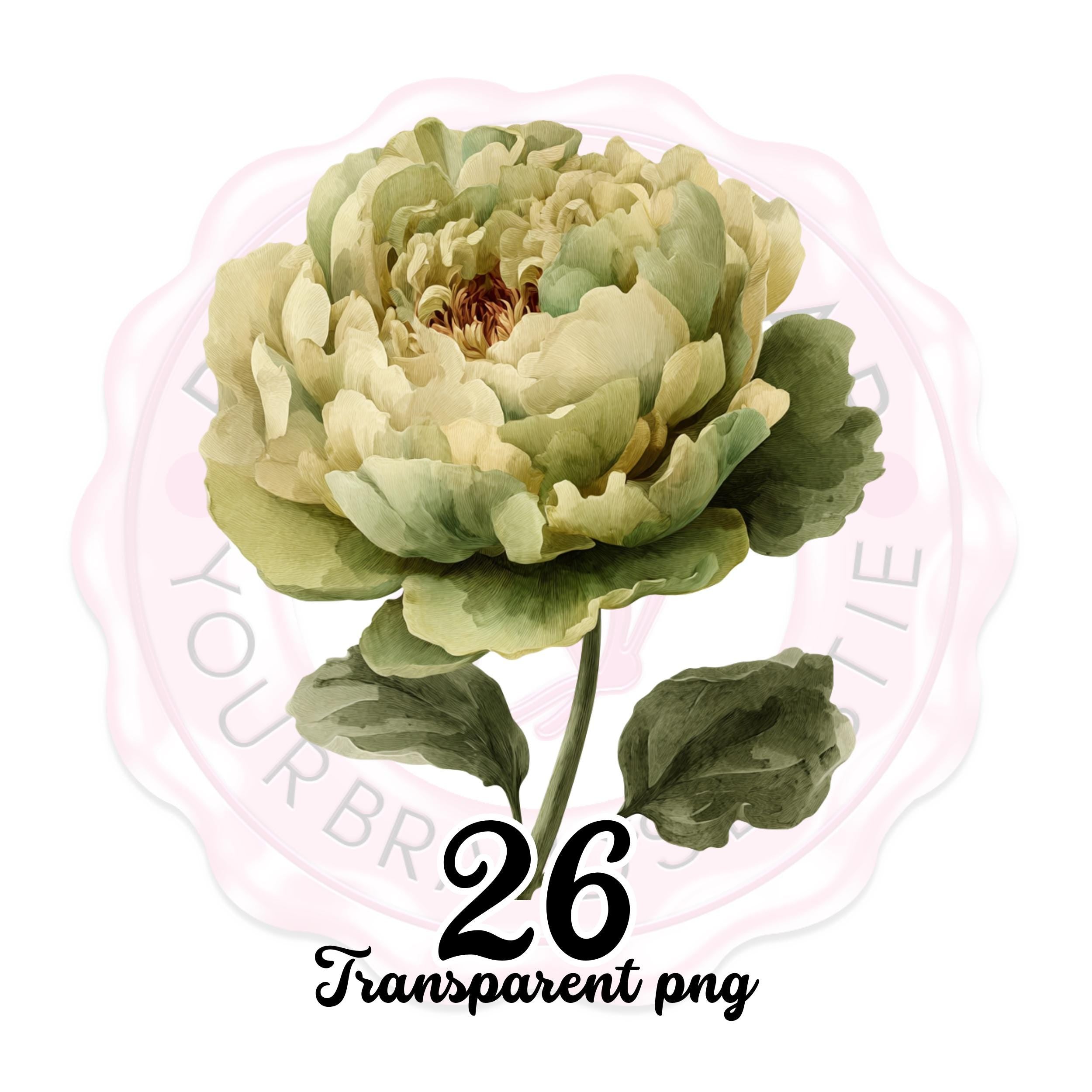 Floral Clipart Border PNG: Watercolor Wildflower Frame, Commercial Use