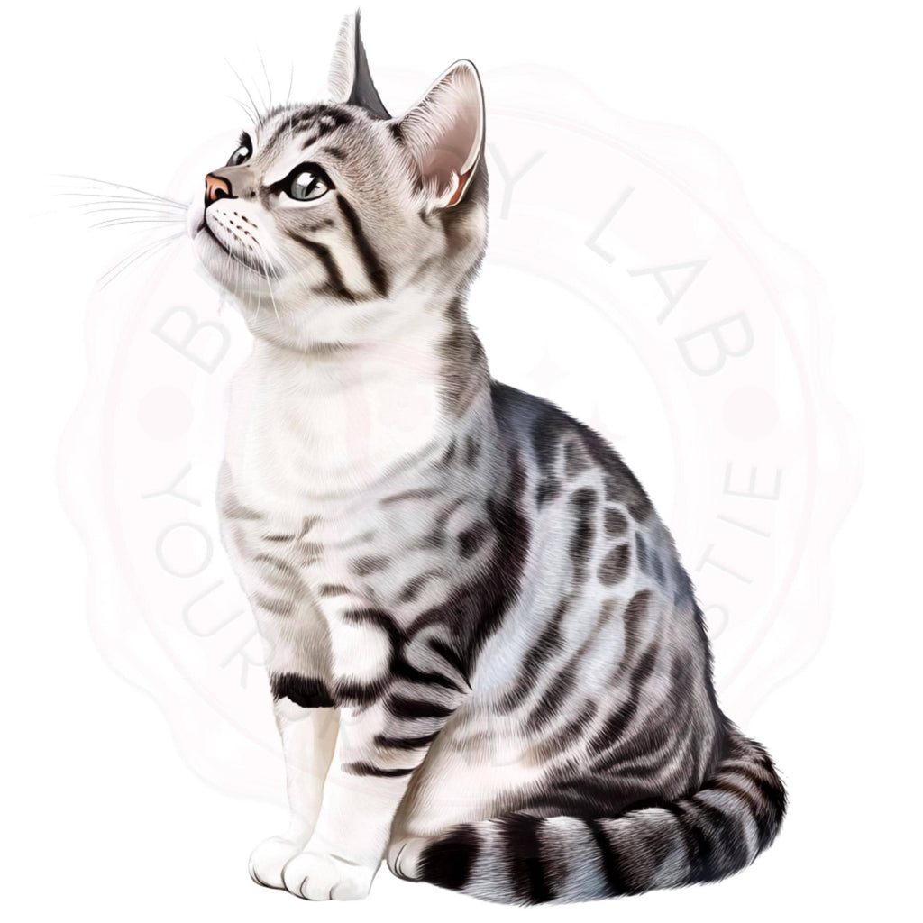 Watercolor Cat Clipart Bundle: Realistic Pet Portraits