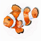 Watercolor Sea Animals Clipart Bundle , Cute Ocean Creatures PNG | Dolphin, Whale, Turtle, Shark, Jellyfish, Crab, Octopus