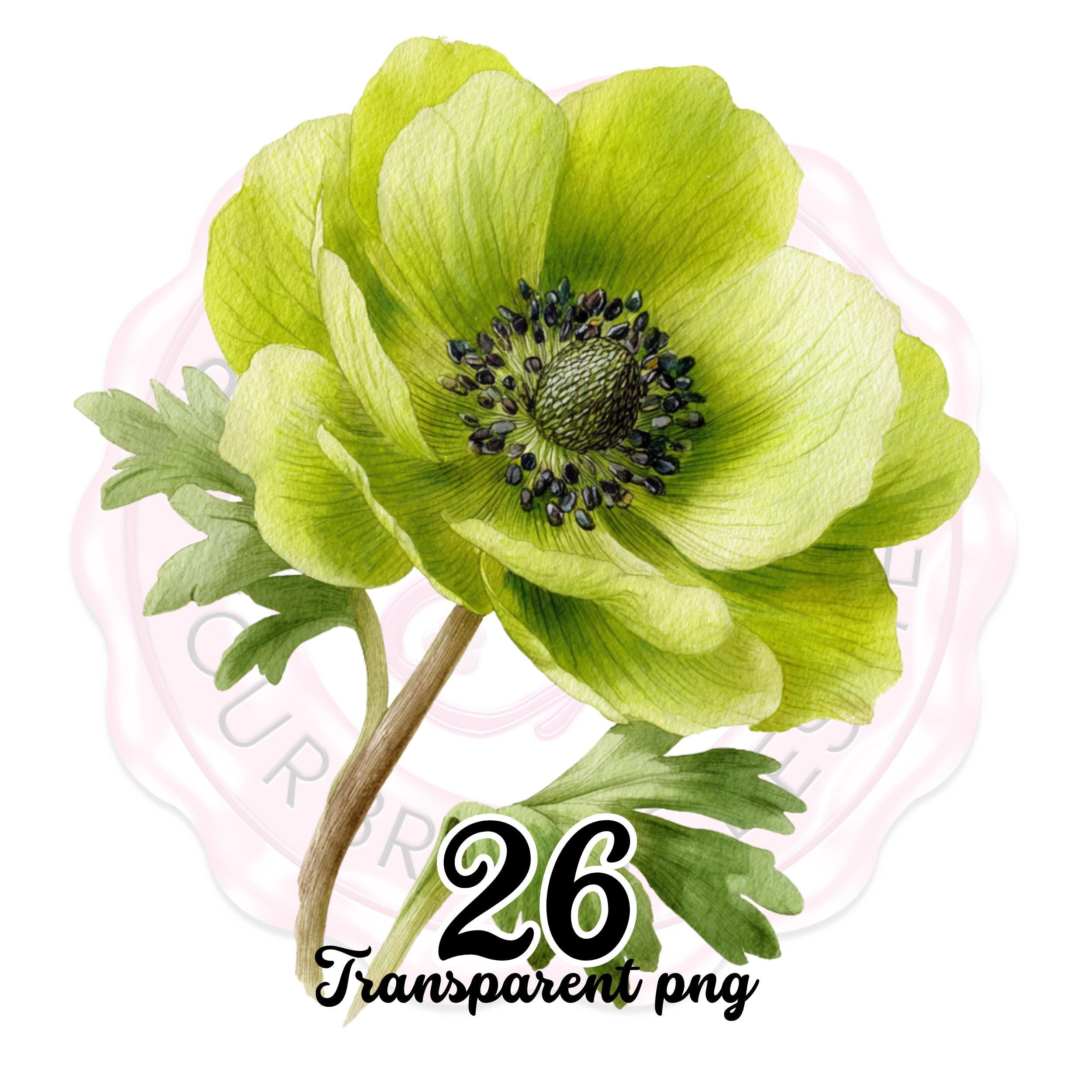 Floral Clipart Border PNG: Watercolor Wildflower Frame, Commercial Use