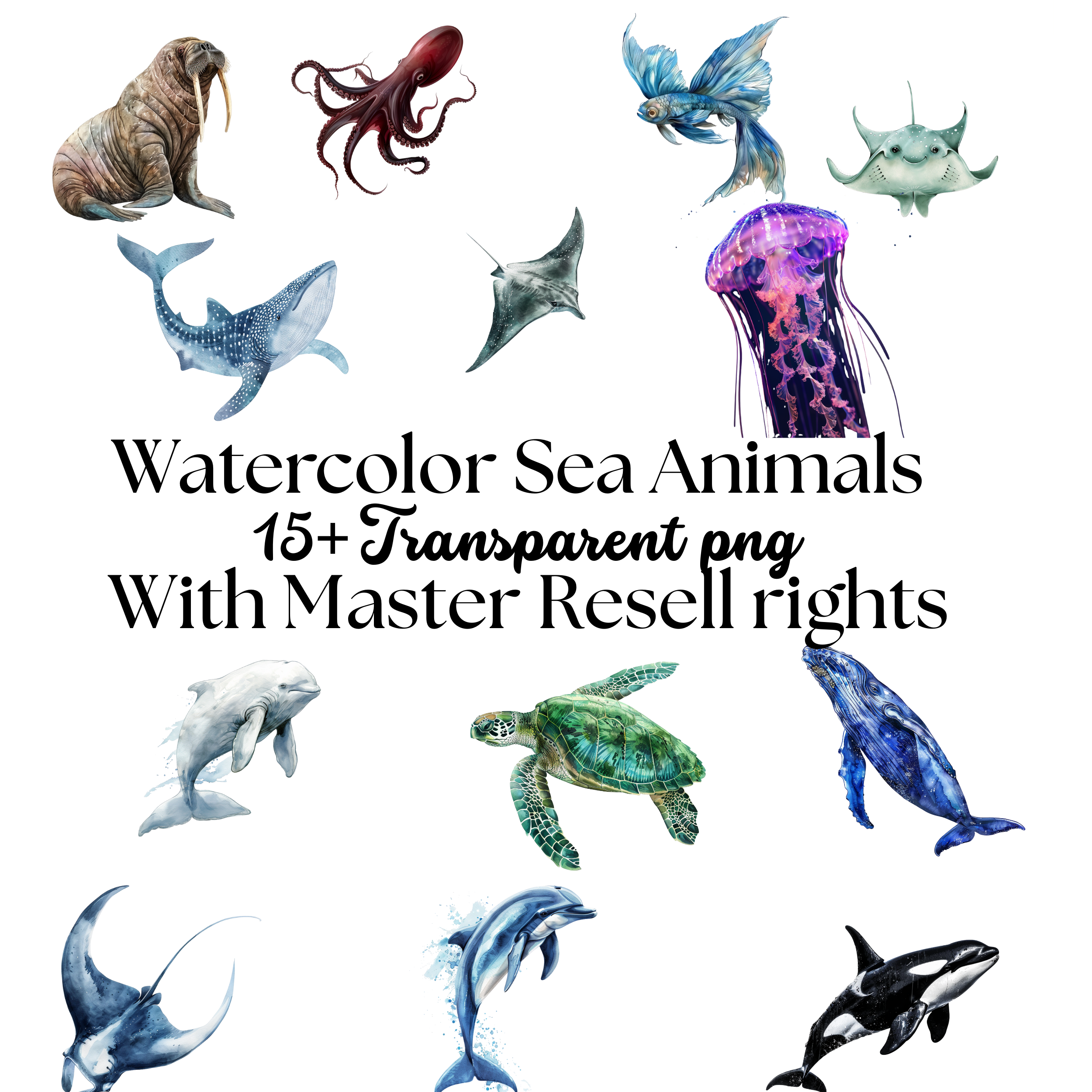 Watercolor Sea Animals Clipart 15+