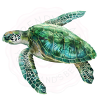 Watercolor Sea Animals Clipart 15+