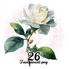 Floral Clipart Border PNG: Watercolor Wildflower Frame, Commercial Use