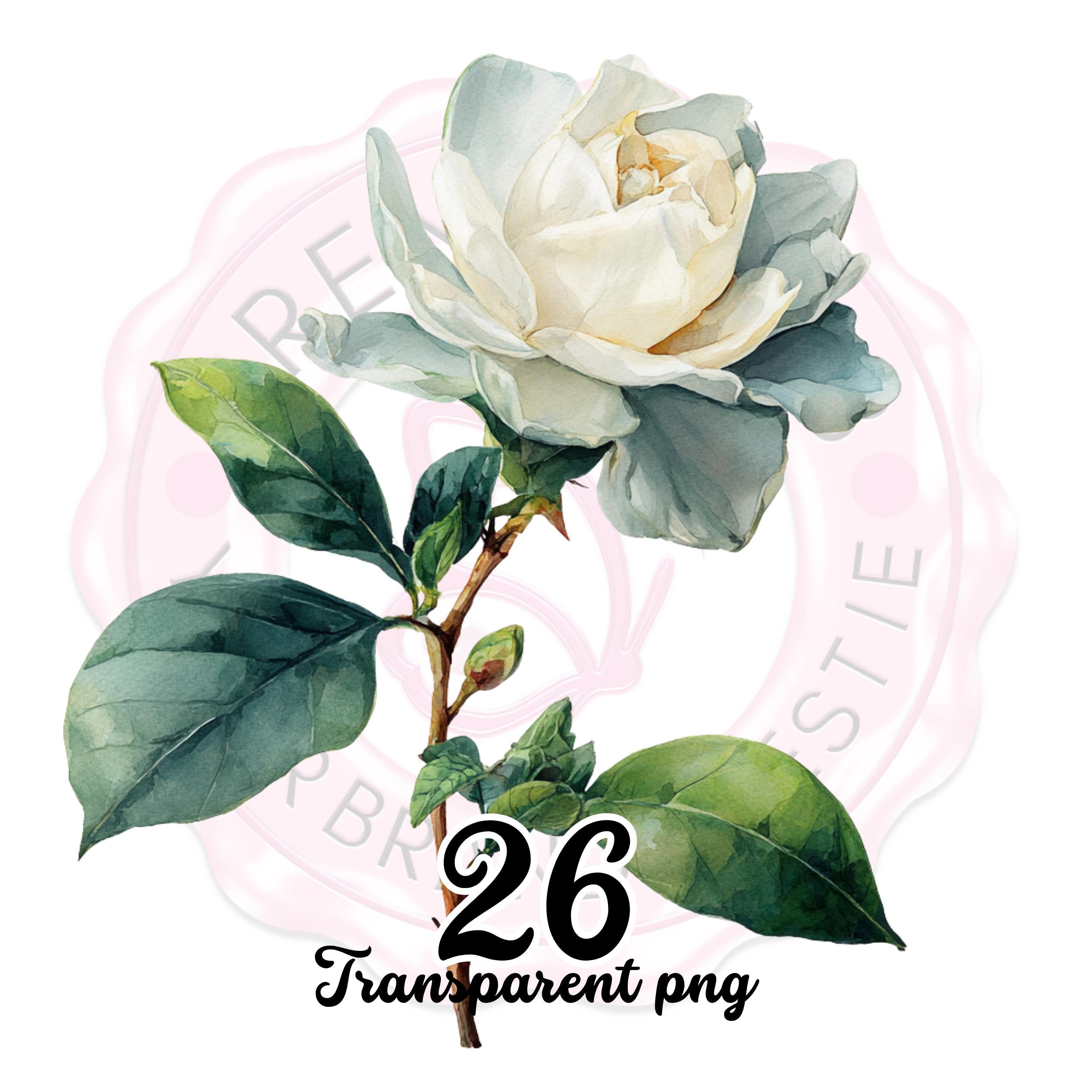 Floral Clipart Border PNG: Watercolor Wildflower Frame, Commercial Use