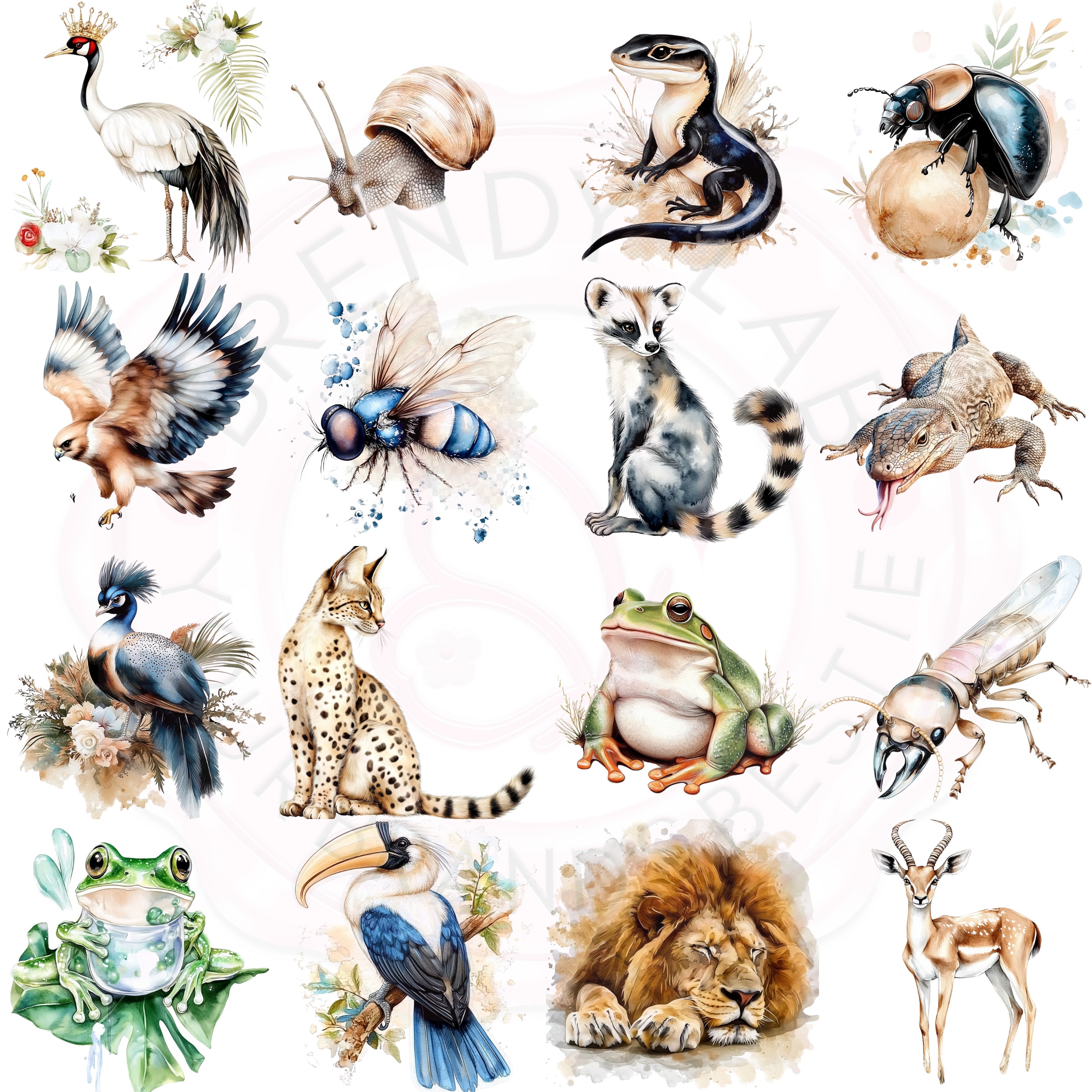 Watercolor Earth Animals Clipart | 15+