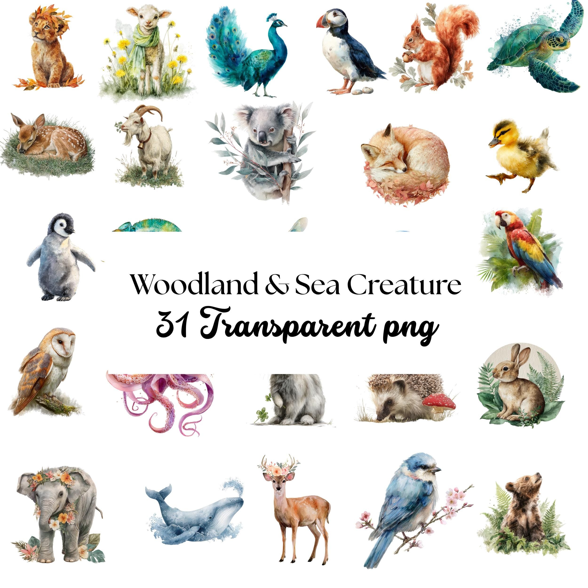 Watercolor Woodland & Sea Animal Clipart: 31 PNG Nursery Art Bundle