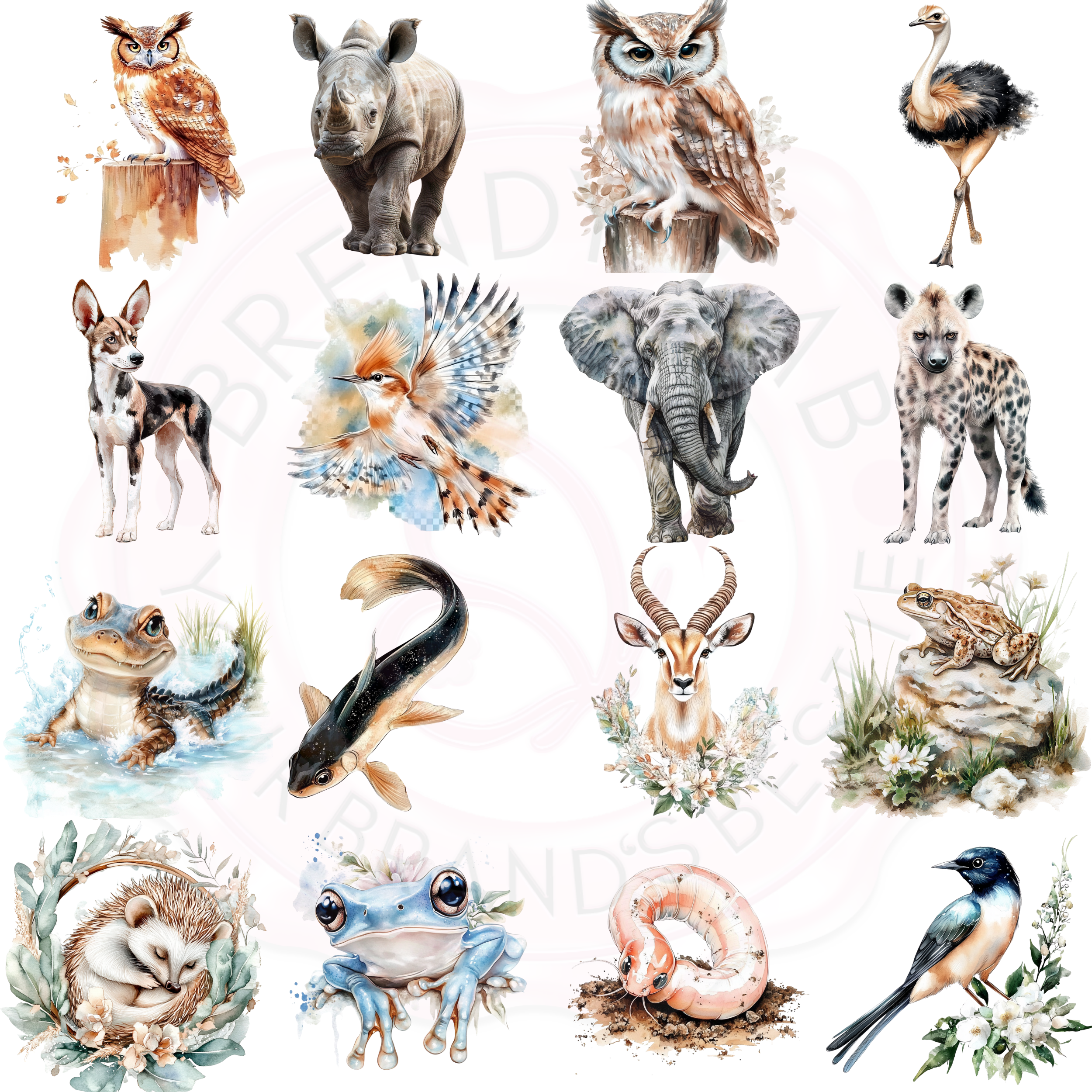 Watercolor Earth Animals Clipart | 15+
