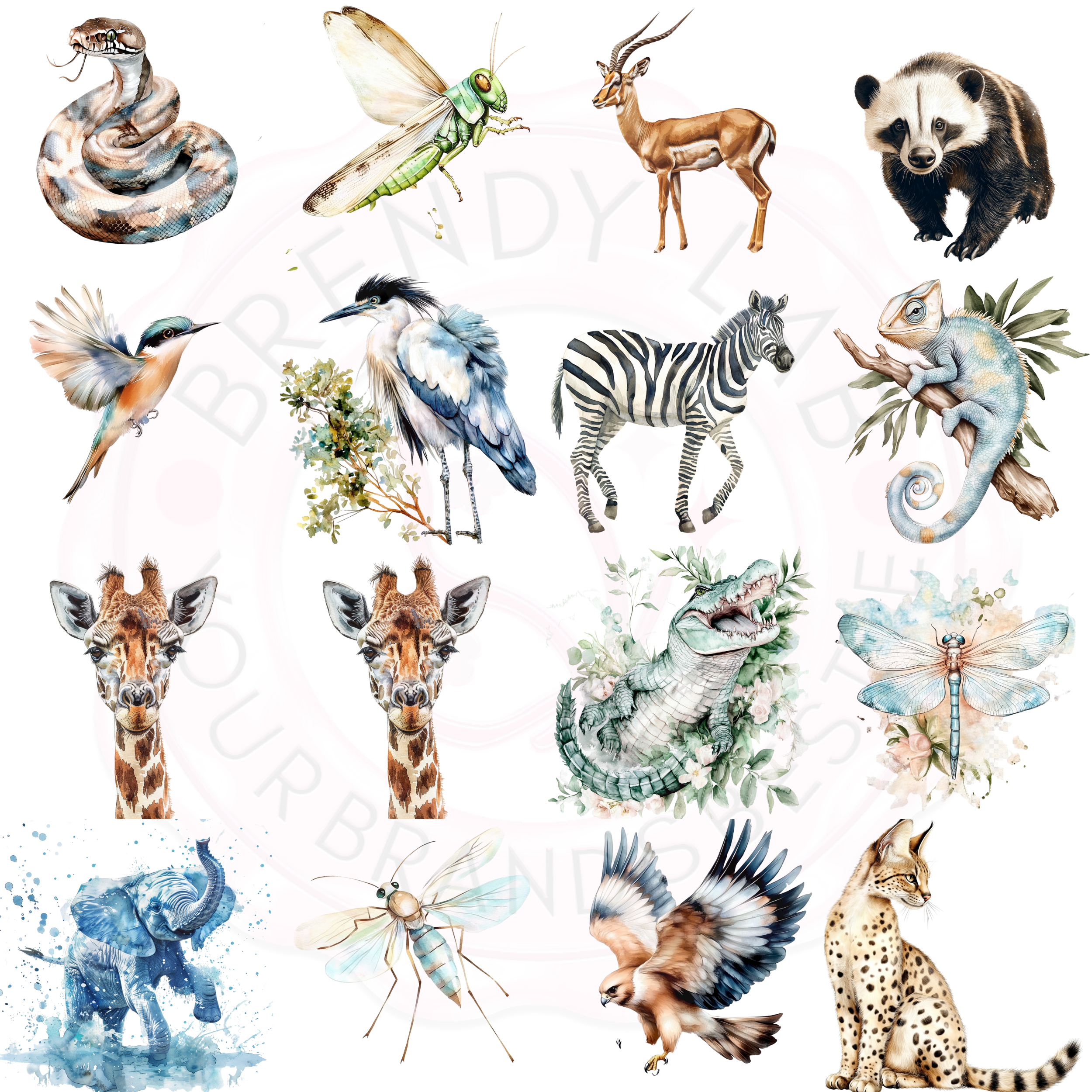 Watercolor Earth Animals Clipart | 15+