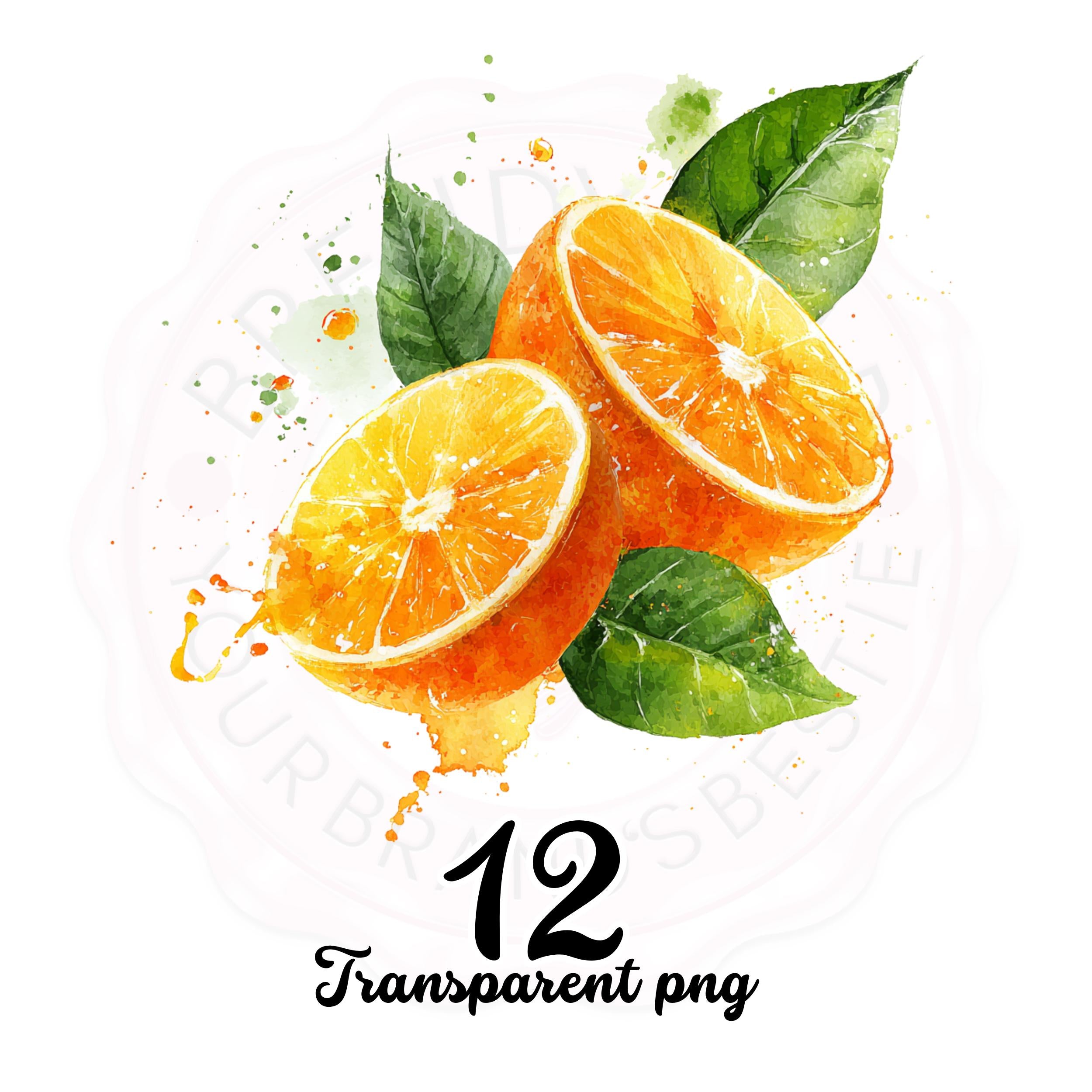 Fruit Watercolor Clipart Bundle: Food Stickers, Mug & Shirt Design