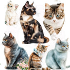 Watercolor Cat Clipart Bundle: Realistic Pet Portraits