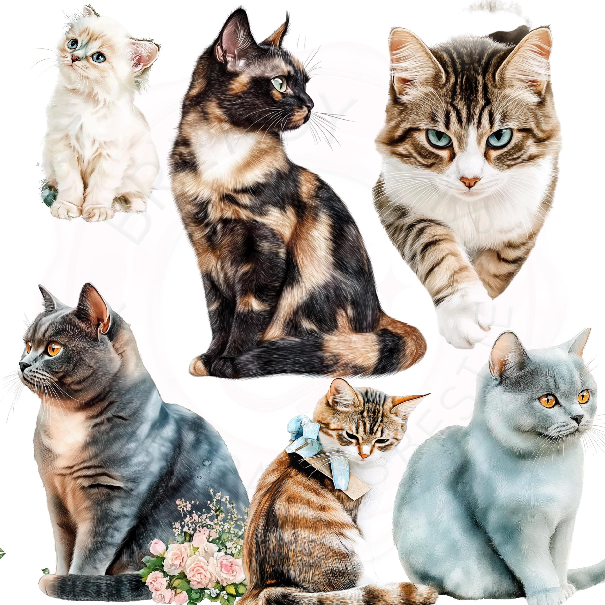 Watercolor Cat Clipart Bundle: Realistic Pet Portraits