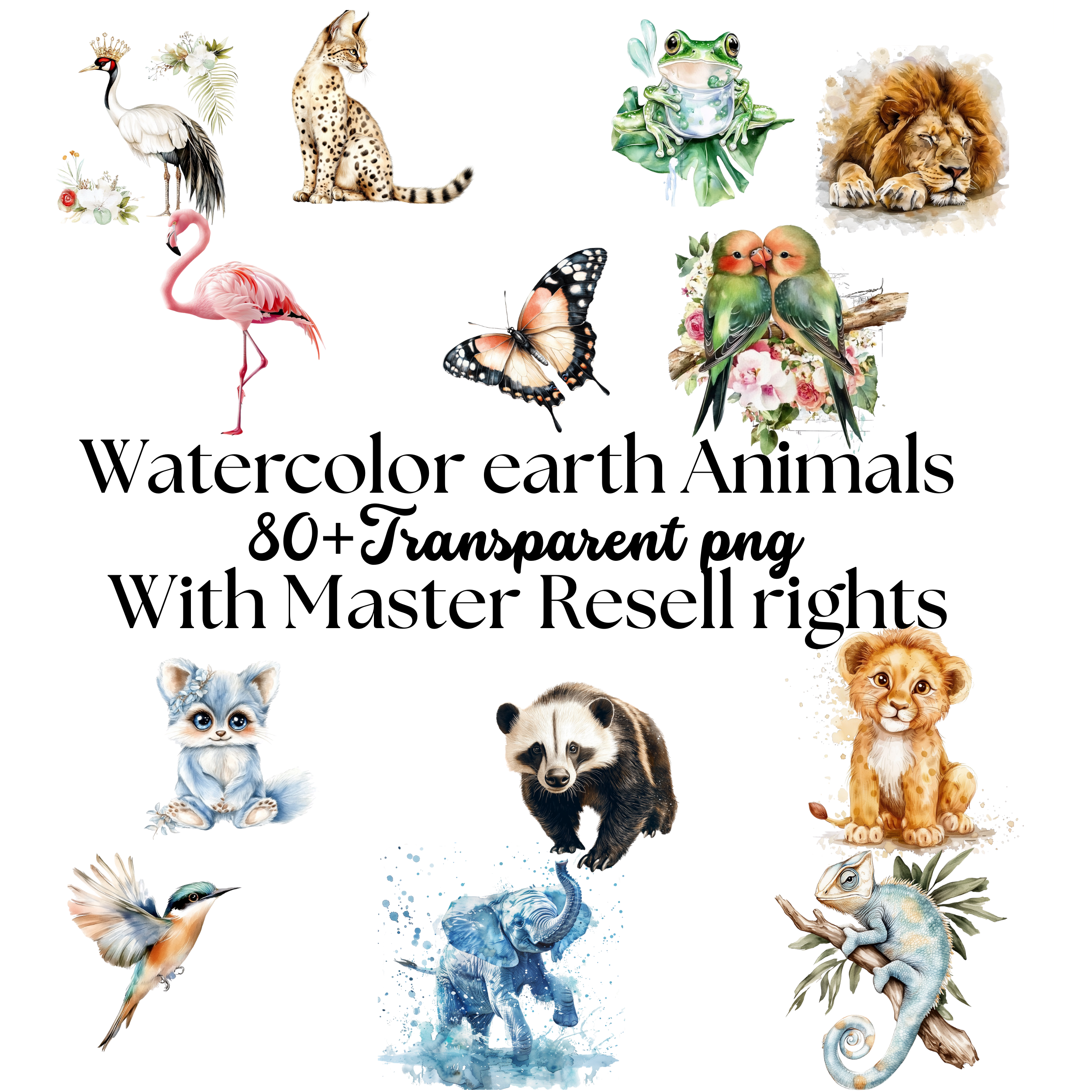 Watercolor Earth Animals Clipart | 15+