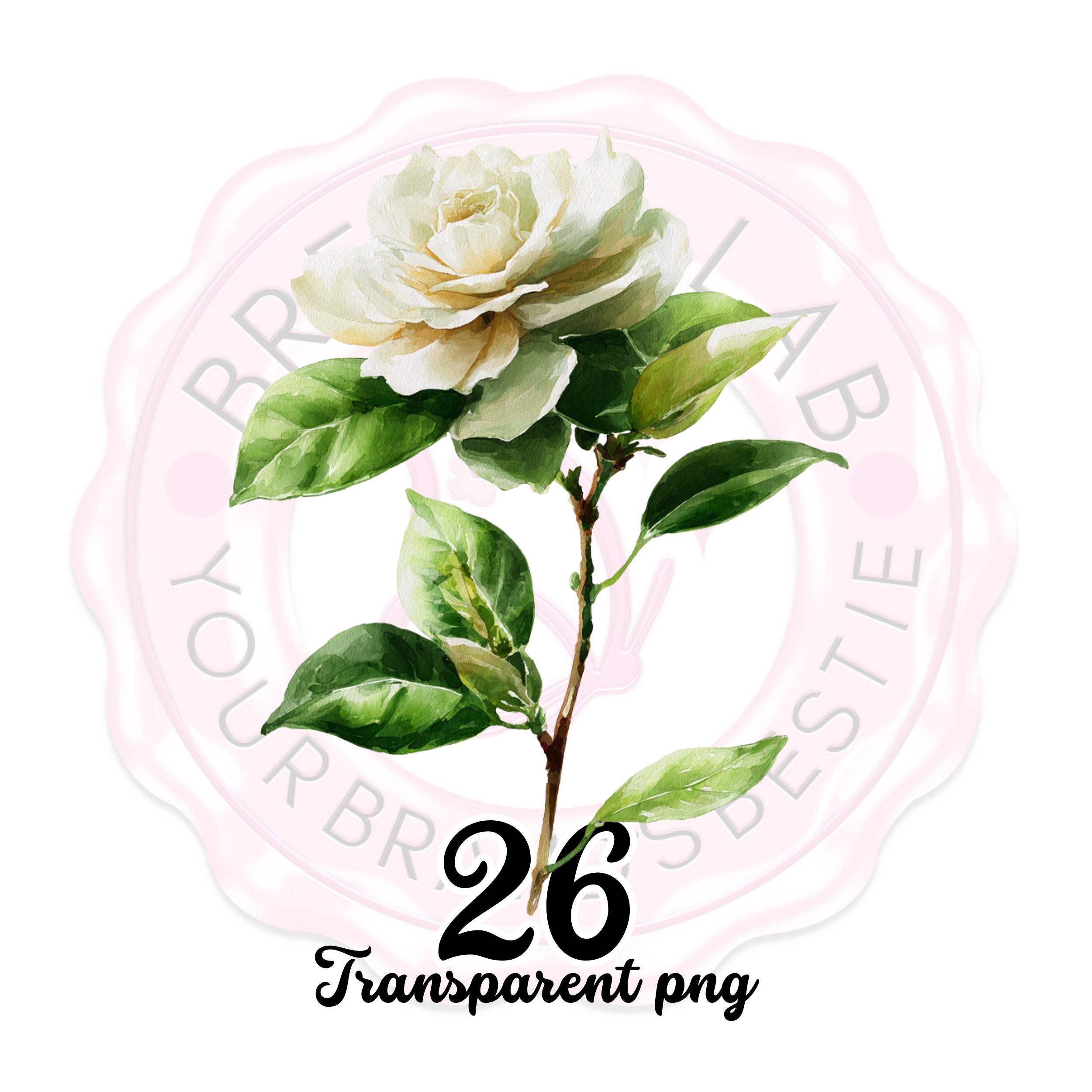 Floral Clipart Border PNG: Watercolor Wildflower Frame, Commercial Use