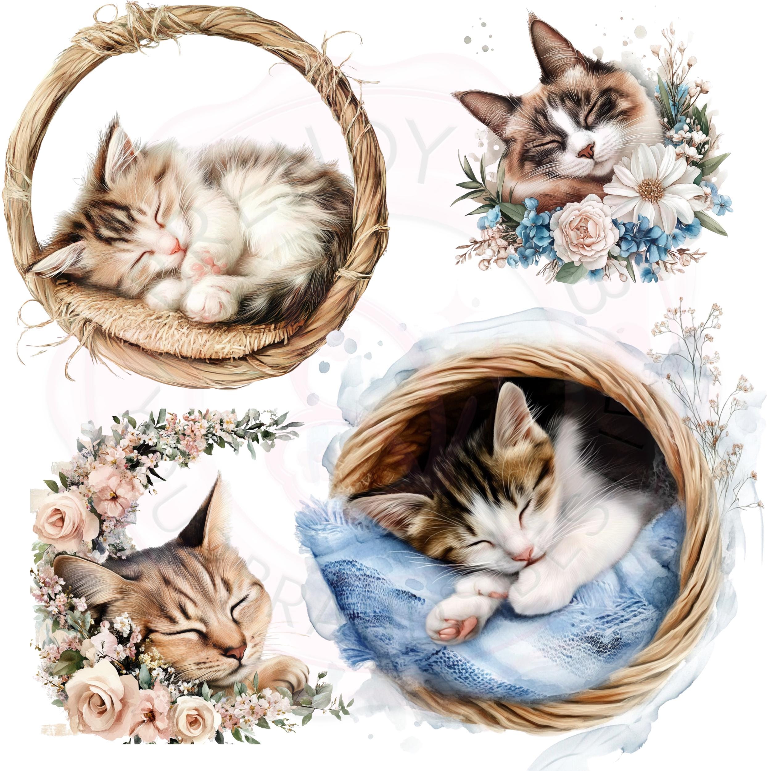 Watercolor Cat Clipart Bundle: Realistic Pet Portraits