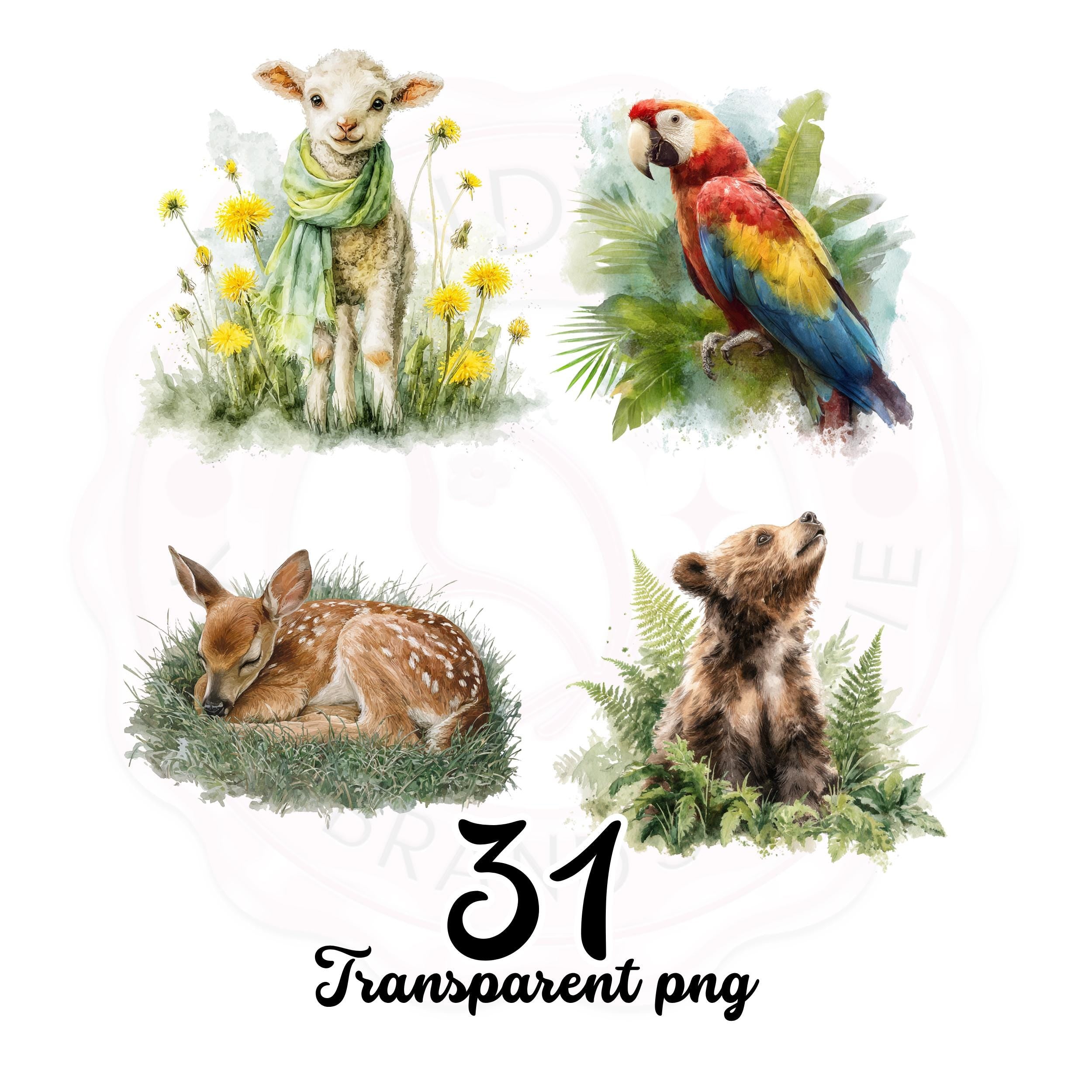 Watercolor Woodland & Sea Animal Clipart: 31 PNG Nursery Art Bundle