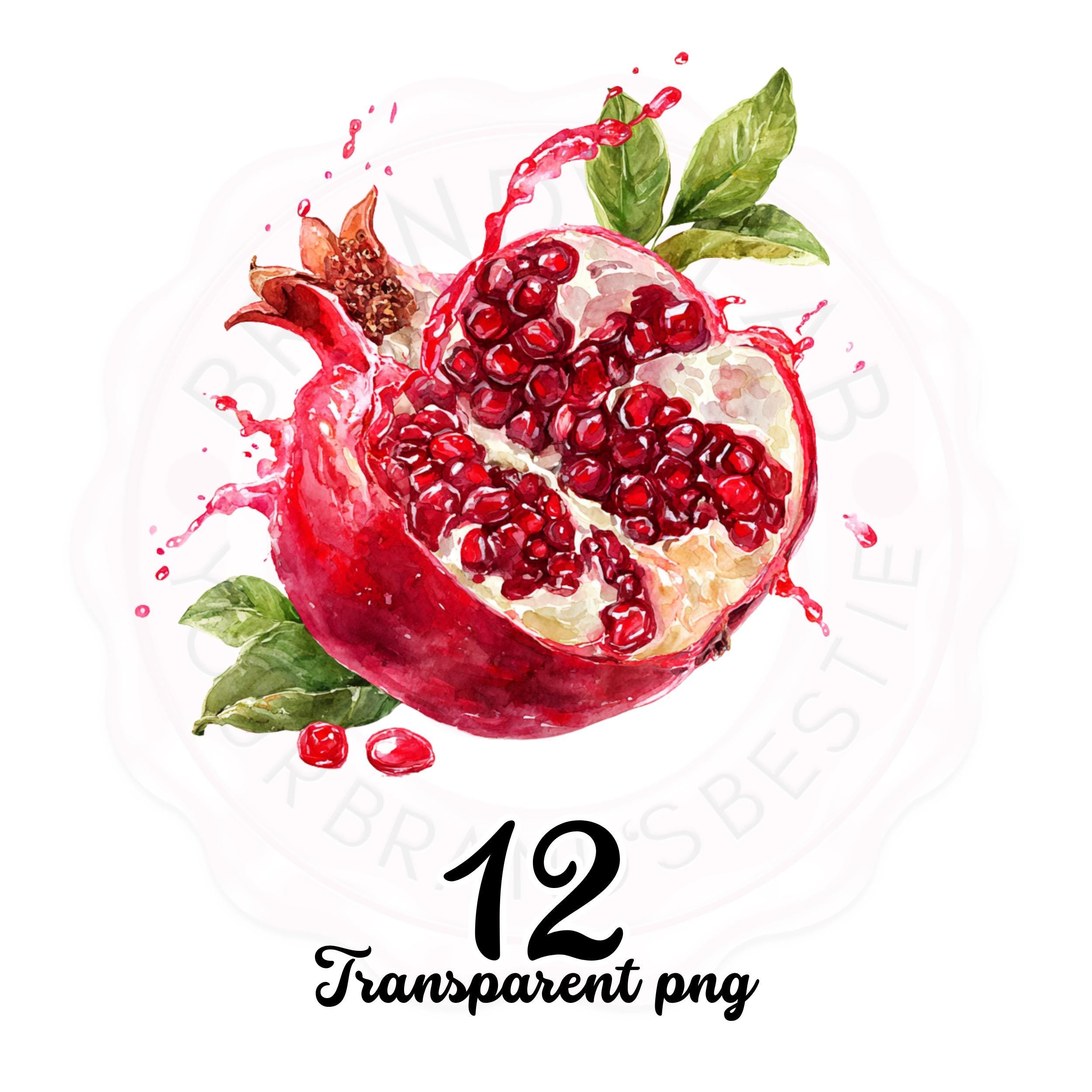 Fruit Watercolor Clipart Bundle: Food Stickers, Mug & Shirt Design