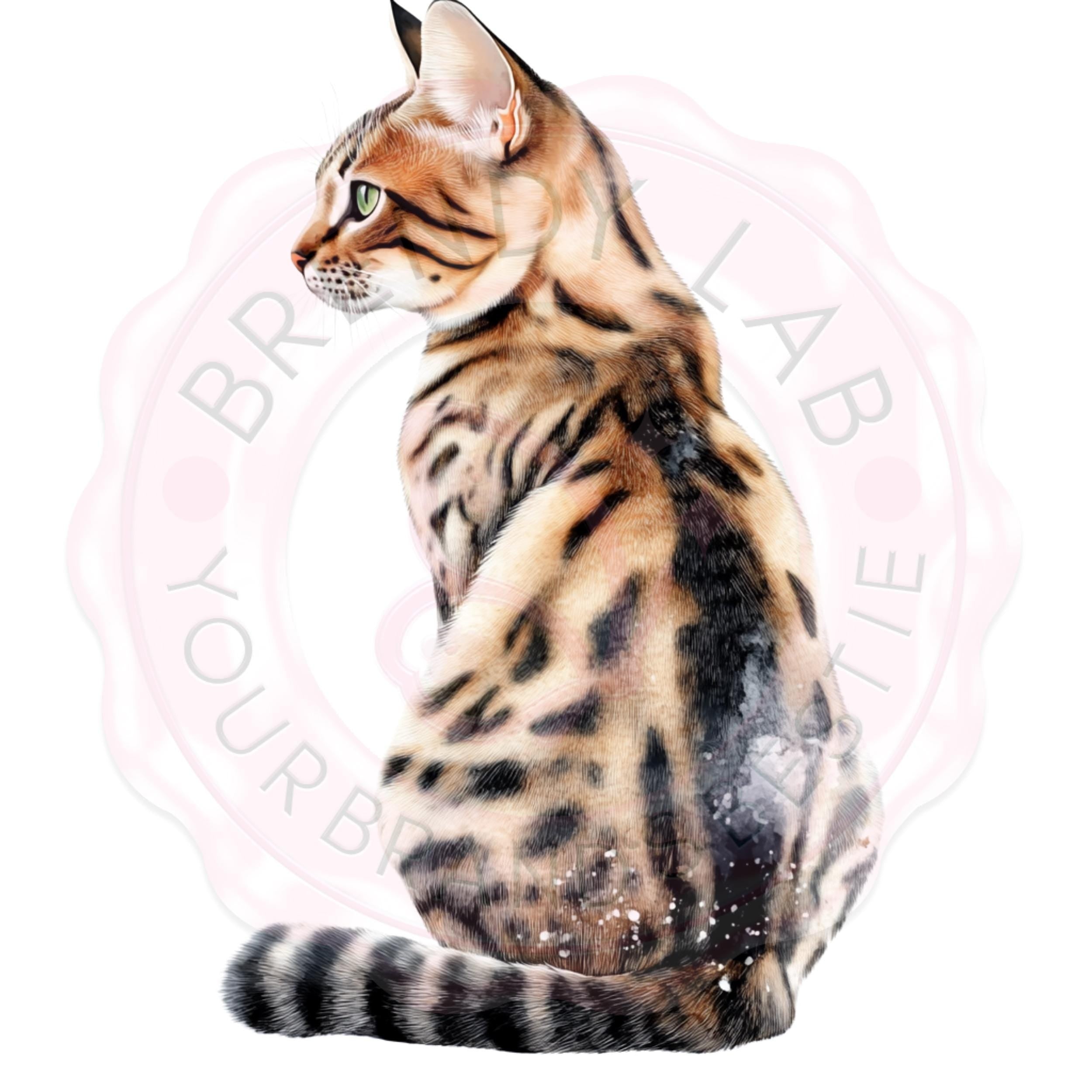 Watercolor Cat Clipart Bundle: Realistic Pet Portraits