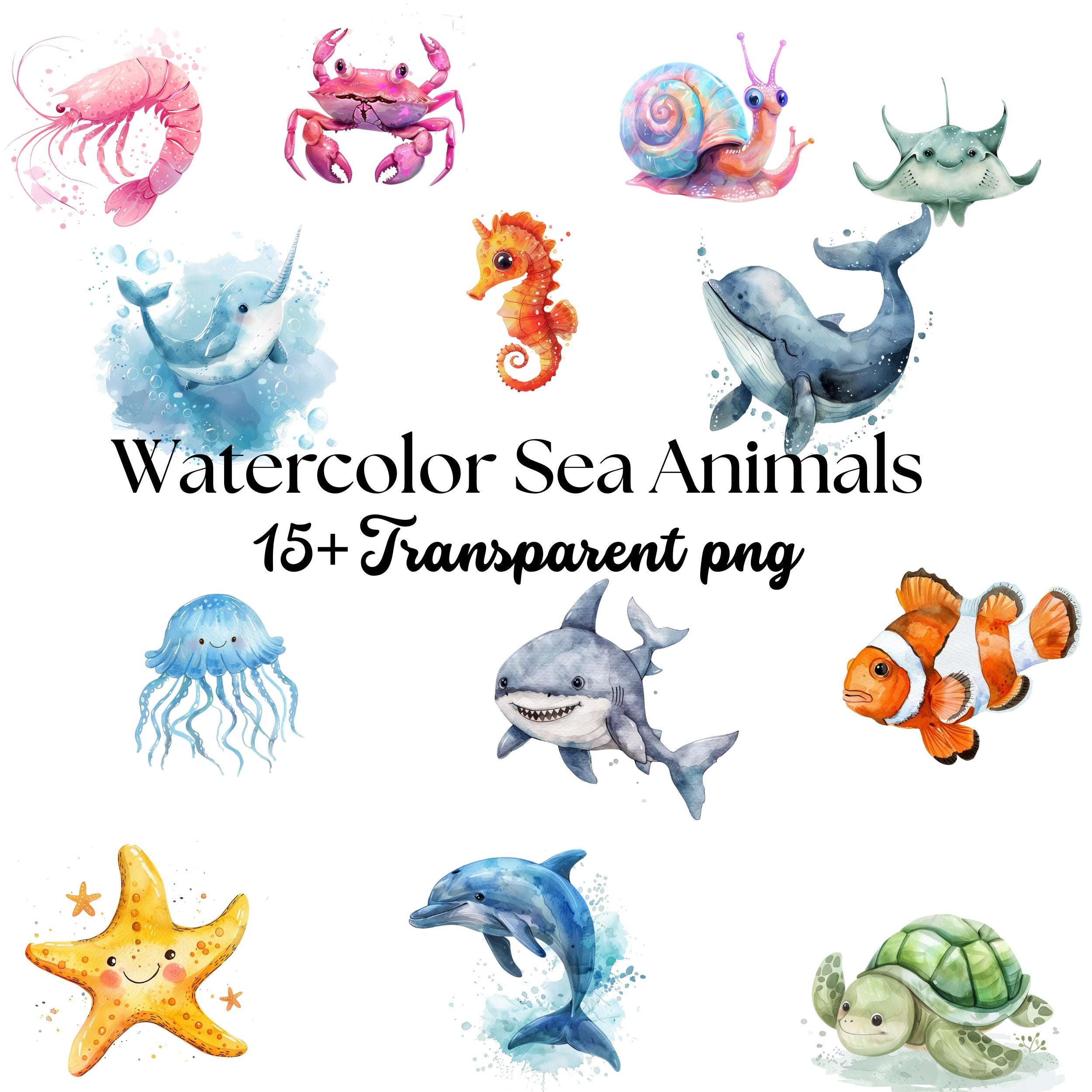 Watercolor Sea Animals Clipart Bundle , Cute Ocean Creatures PNG | Dolphin, Whale, Turtle, Shark, Jellyfish, Crab, Octopus