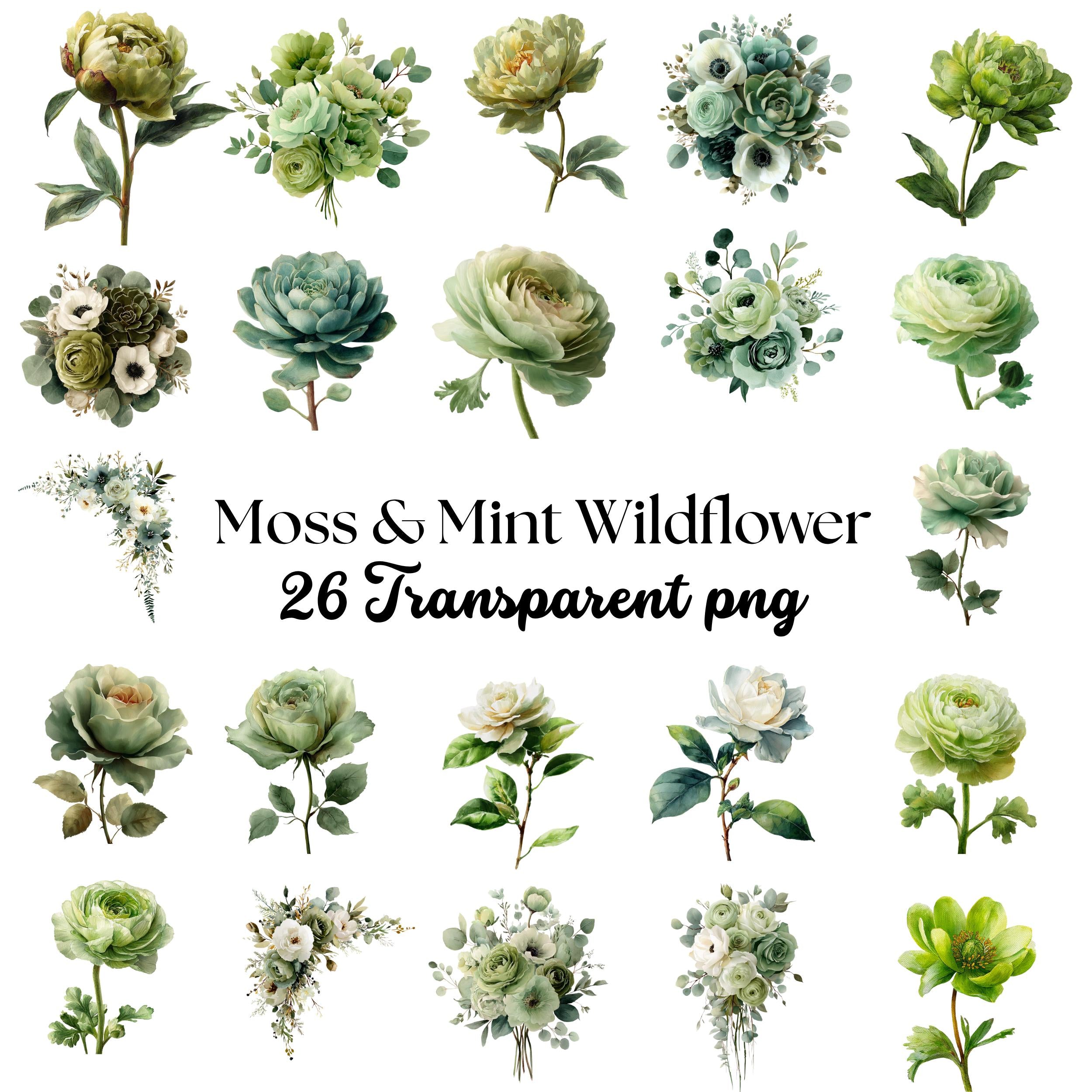 Floral Clipart Border PNG: Watercolor Wildflower Frame, Commercial Use